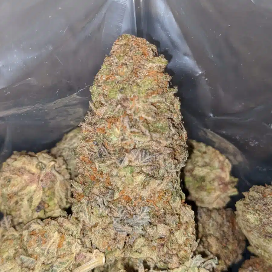 ICE CREAM CAKE 3 I $ 75 Oz - Cookies & Cream