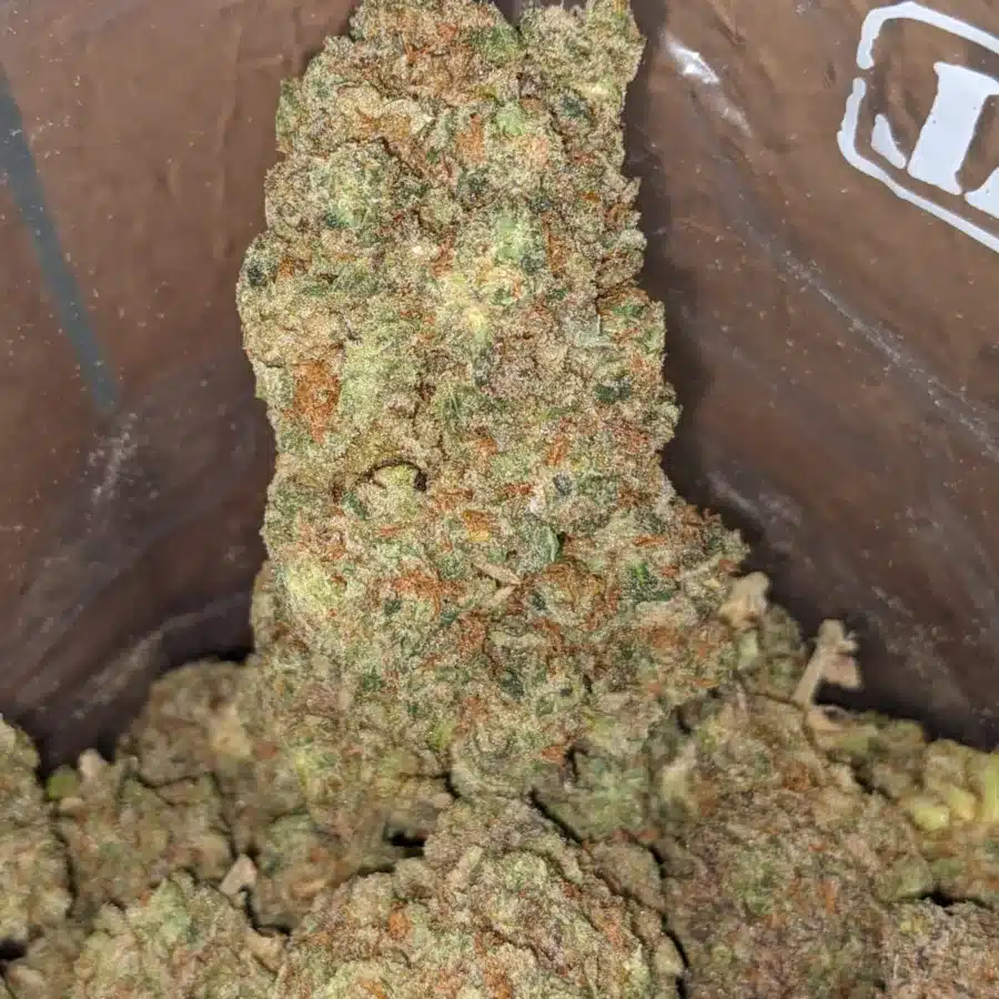 INCREDIBLE HULK 1 I Incredible Hulk