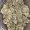 Incredible Hulk