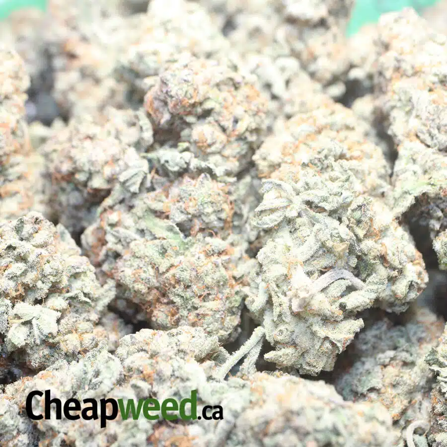 KUSHBERRY 1 1 I Kushberry #2