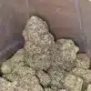 Koolato