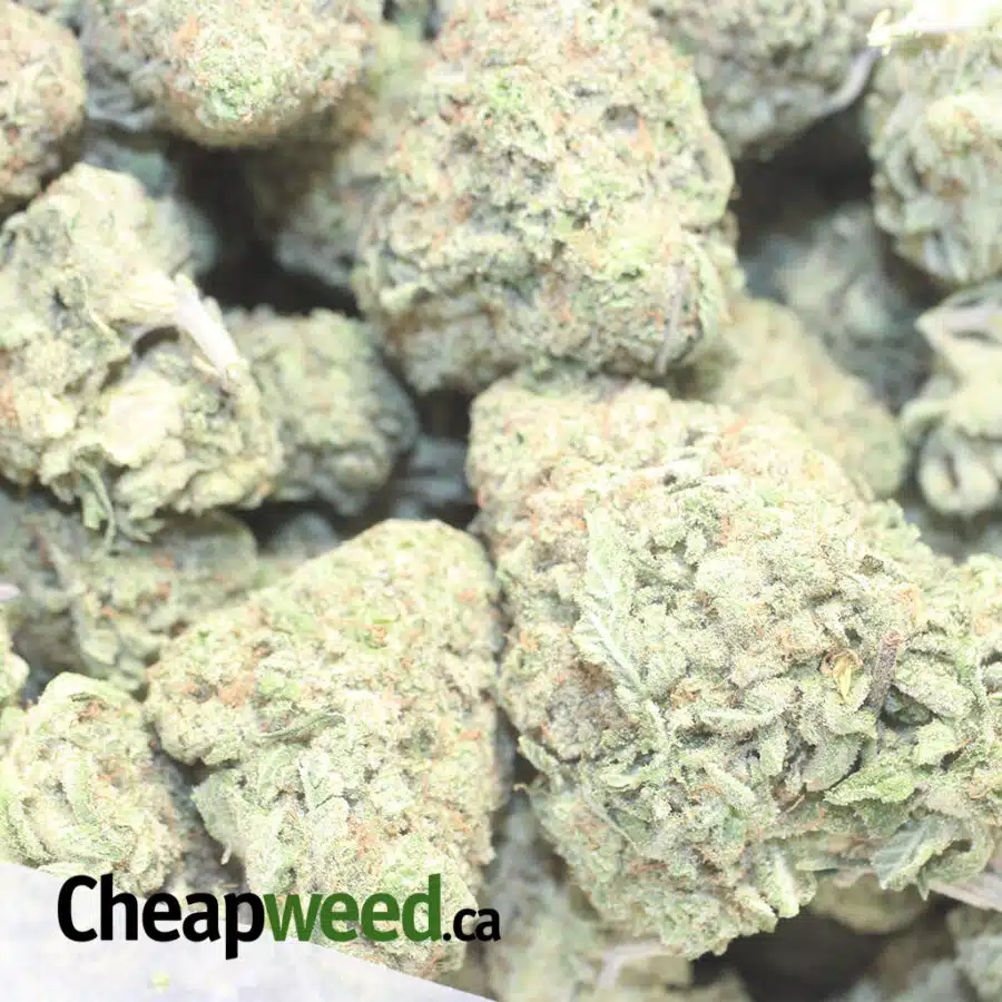 PINEAPPLE HAZE 3 I Pineapple Haze