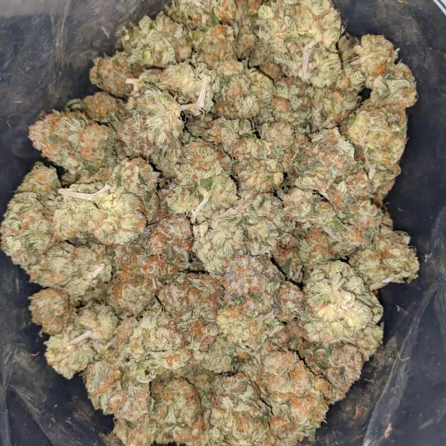 $ 67 Oz - Pot Of Gold