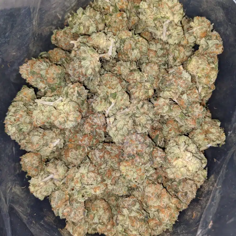 POT OF GOLD 2 I $ 67 Oz - Pot Of Gold