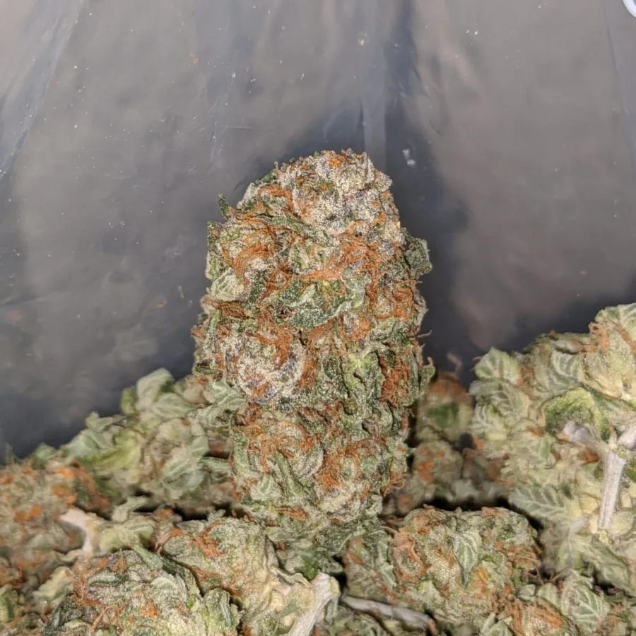 Alternative view of $ 67 Oz - Pot Of Gold