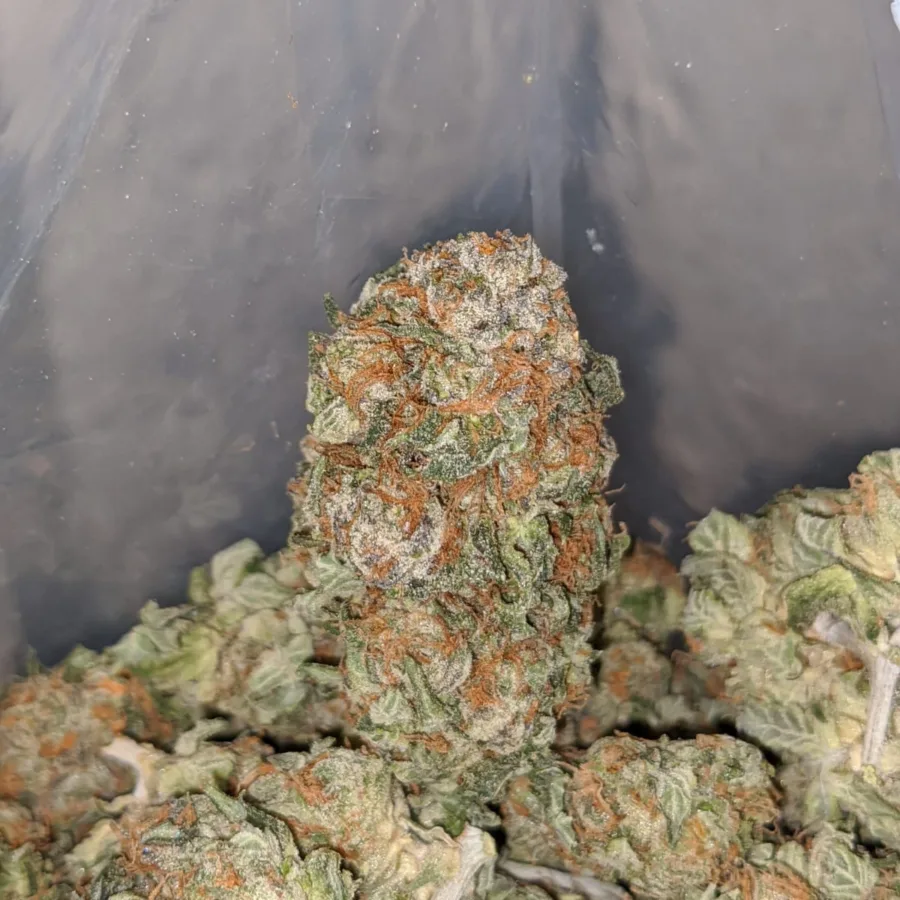 POT OF GOLD 4 I $ 67 Oz - Pot Of Gold