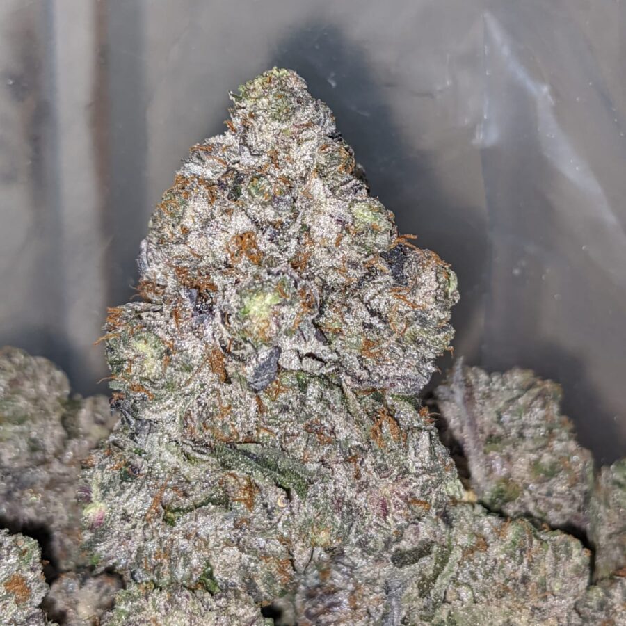 PURPLE CHEMDAWG 1 I Purple Chemdawg