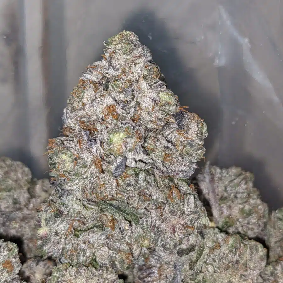 PURPLE CHEMDAWG 1 I Purple Chemdawg