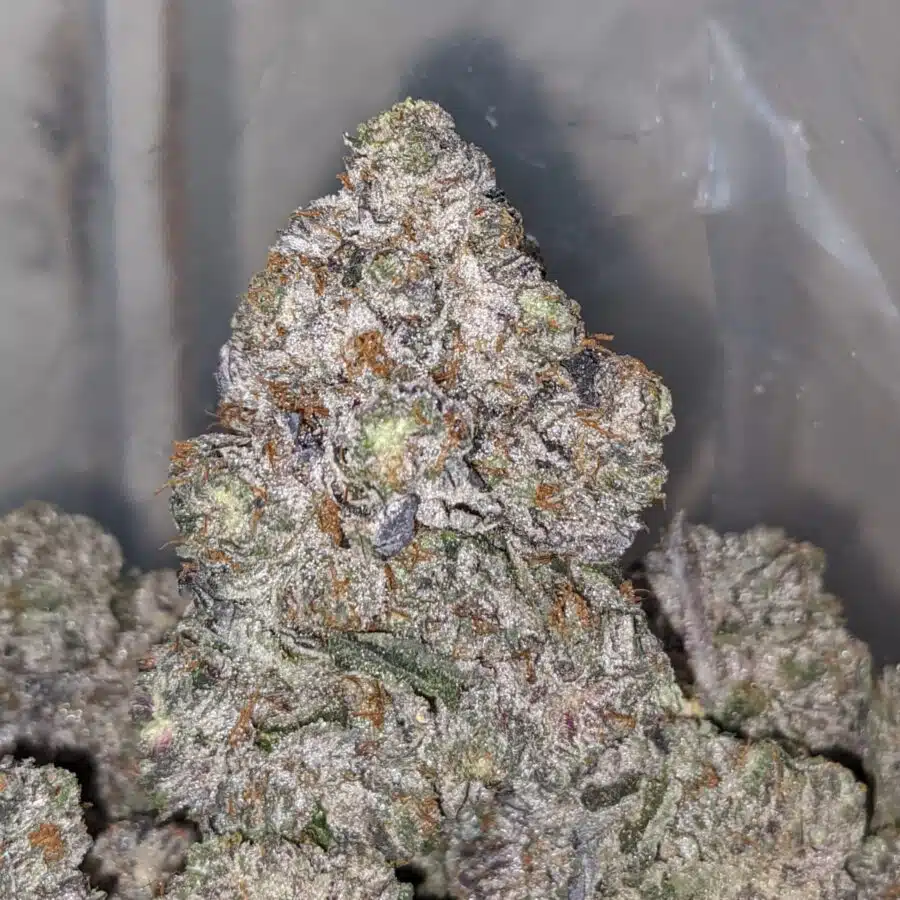PURPLE CHEMDAWG 2 I Purple Chemdawg