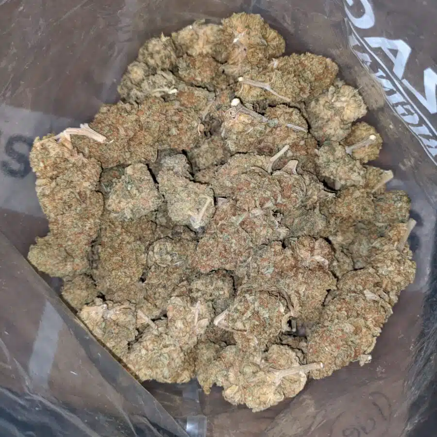 Papa 1 I $59 Oz - Papaya Kush