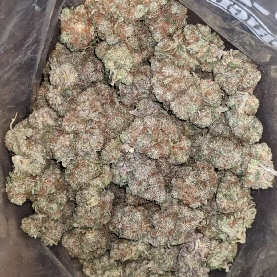 Platinum Haze 1 1 I Platinum Haze