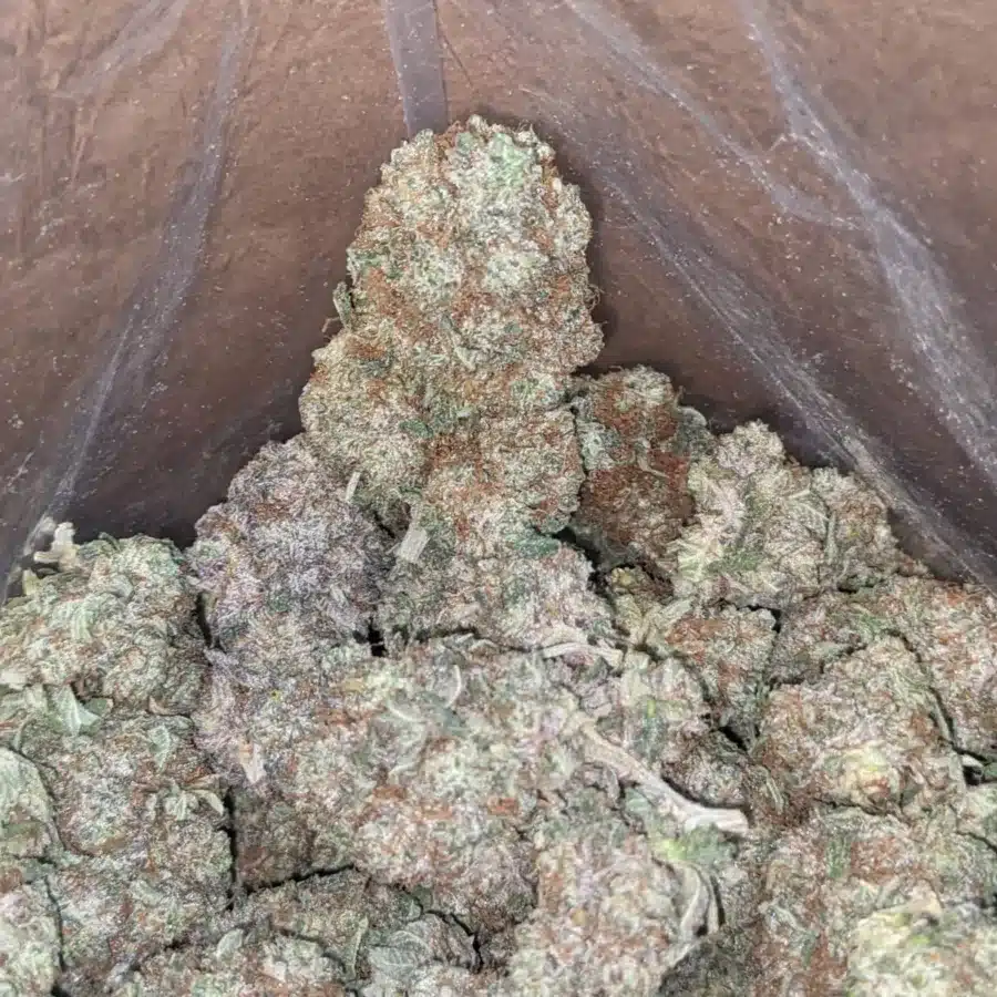 Platinum Haze 2 I Platinum Haze