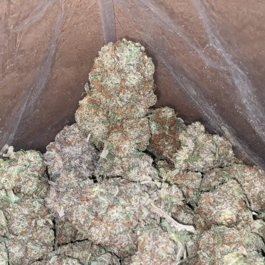 Platinum Haze 3 I Platinum Haze
