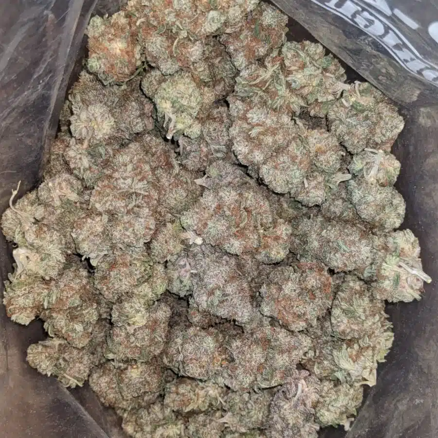 Platinum Haze 4 1 I Platinum Haze