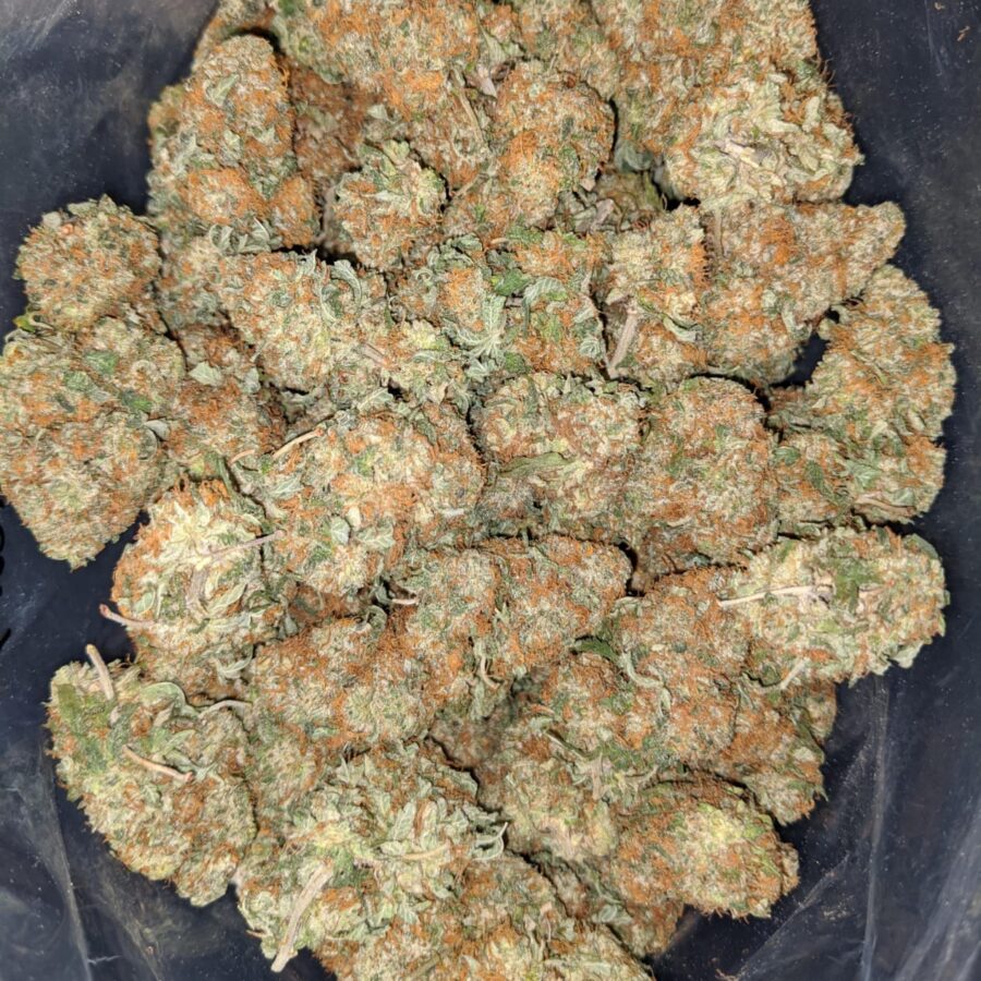 Russian Cream