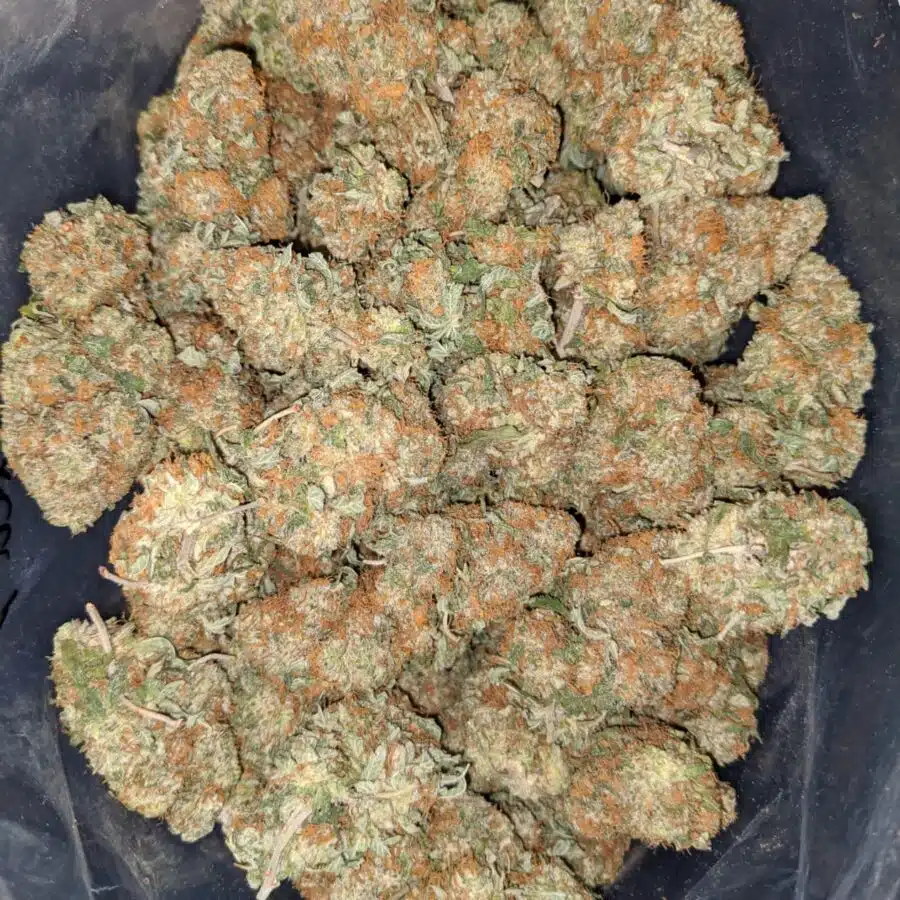 RUSSIAN CREAM 2 I Russian Cream