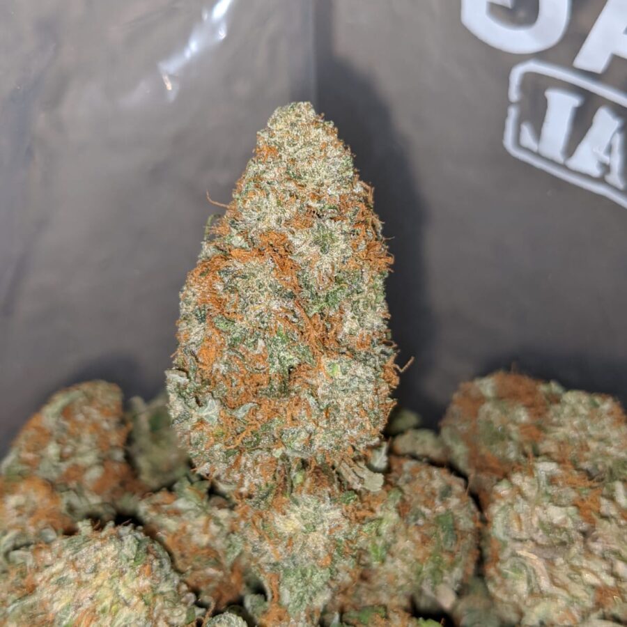 Russian Cream - Image 5