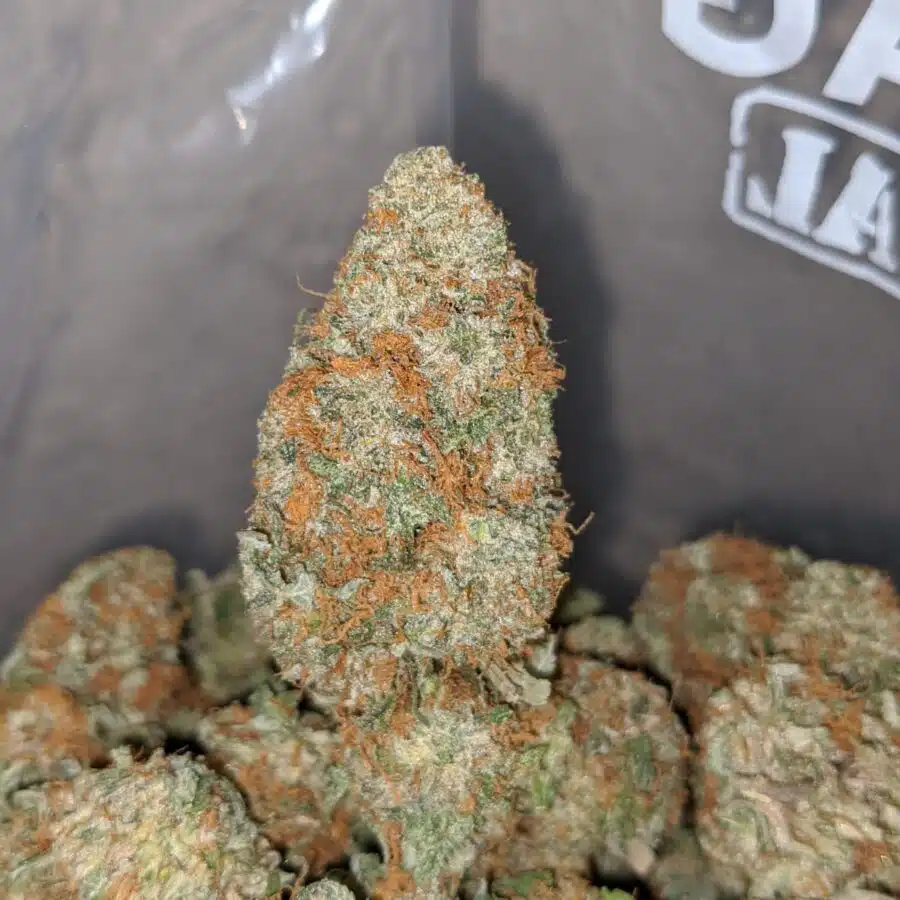 RUSSIAN CREAM 3 I Russian Cream
