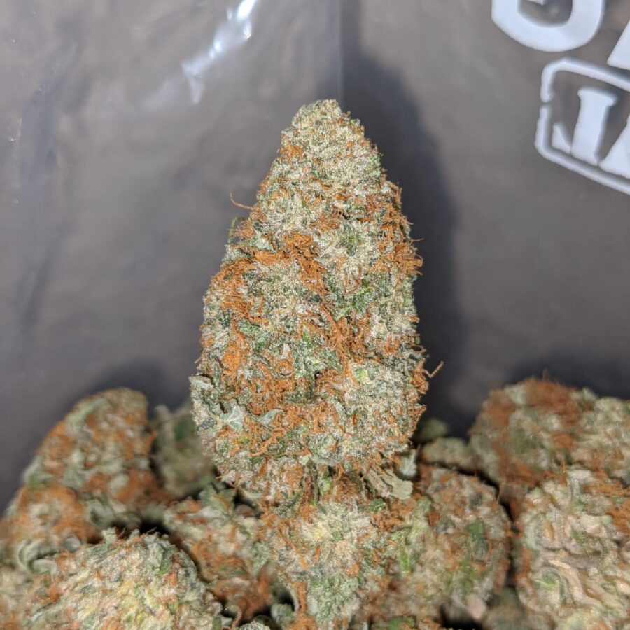 Russian Cream - Image 4