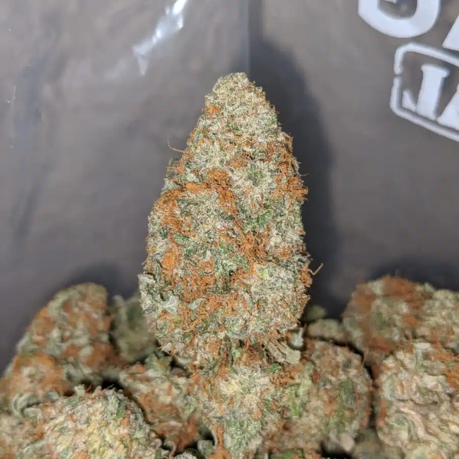 RUSSIAN CREAM 4 I Russian Cream