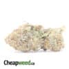 $69 Oz - Seattle Cough