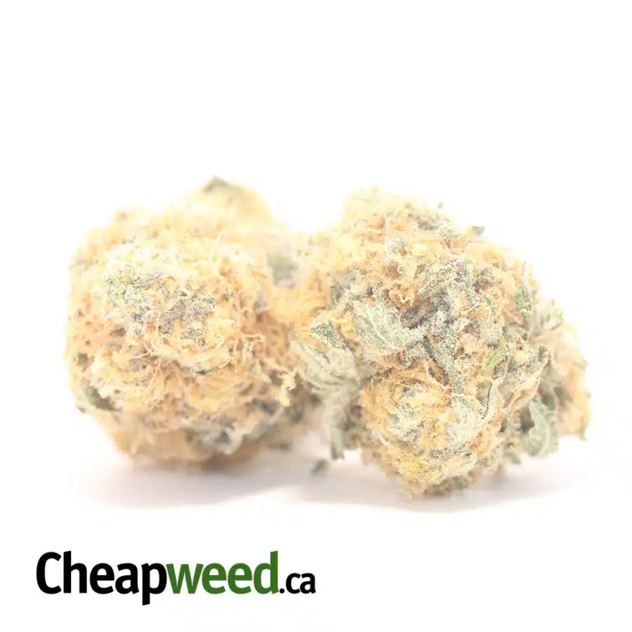 SUNDAE DRIVER 3 I $63 Oz - Sundae Driver