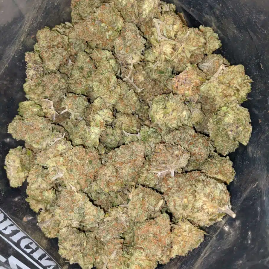 blue heron 1 I $ 75 Oz - Blue Heron