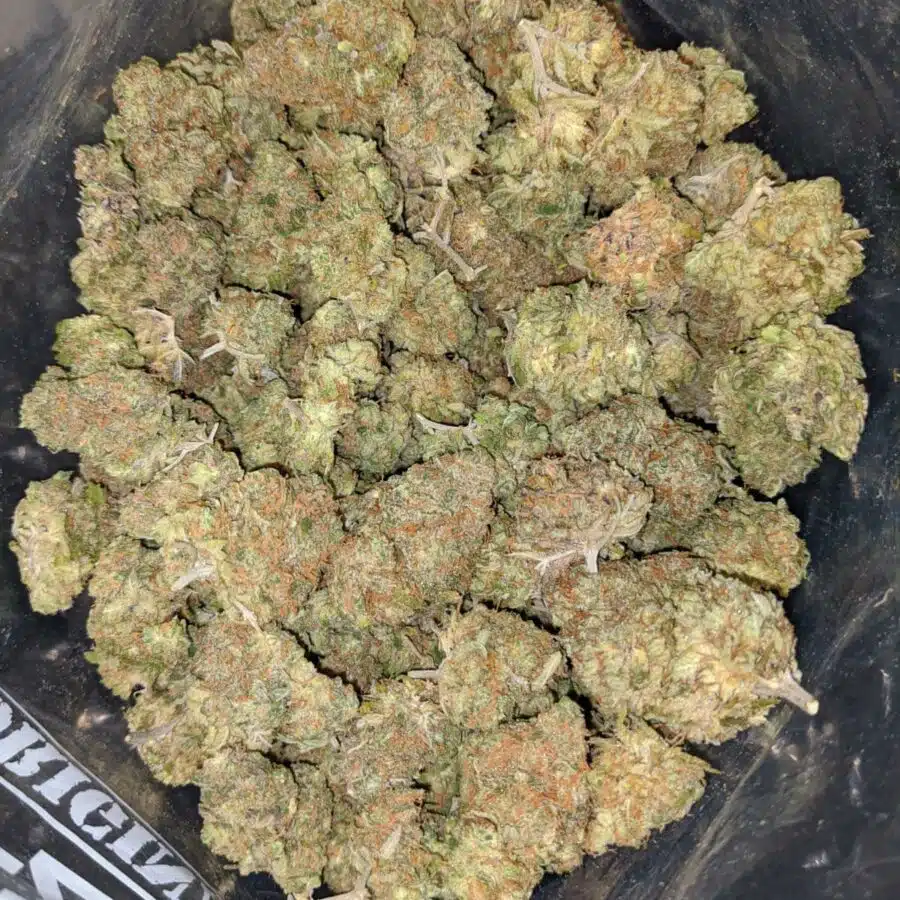 blue heron 2 I $ 75 Oz - Blue Heron