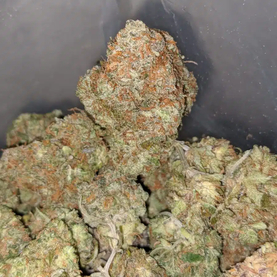 blue heron 3 I $ 75 Oz - Blue Heron