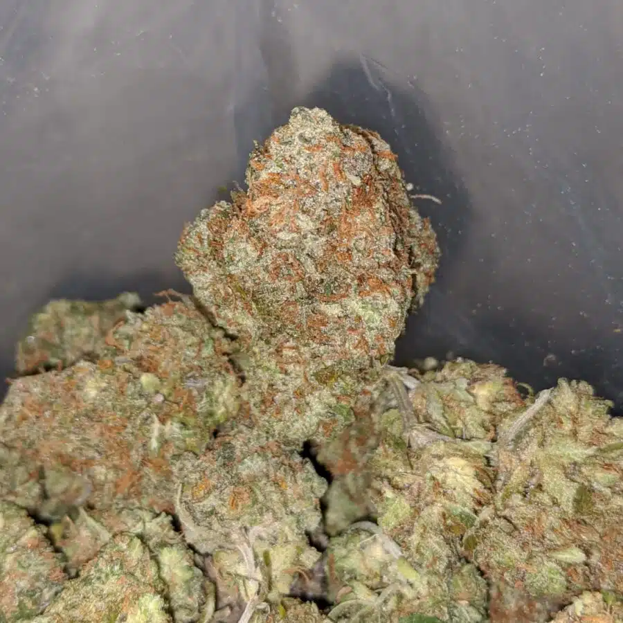 blue heron 4 I $ 75 Oz - Blue Heron