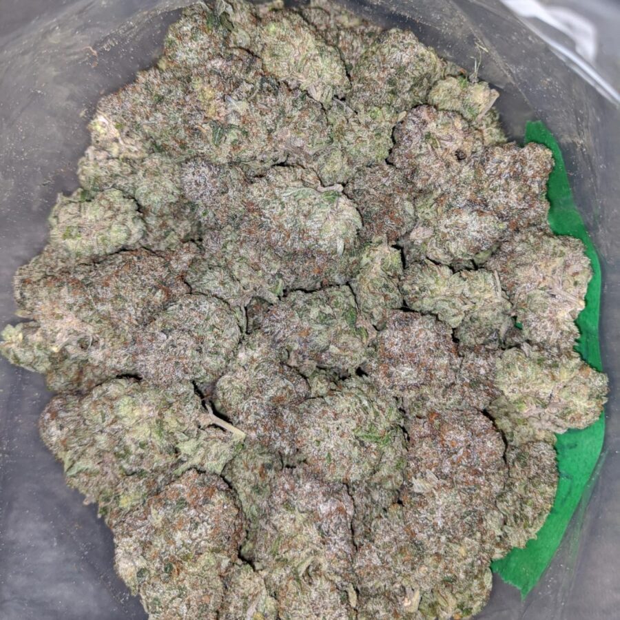 Grizzly Pink - Image 5