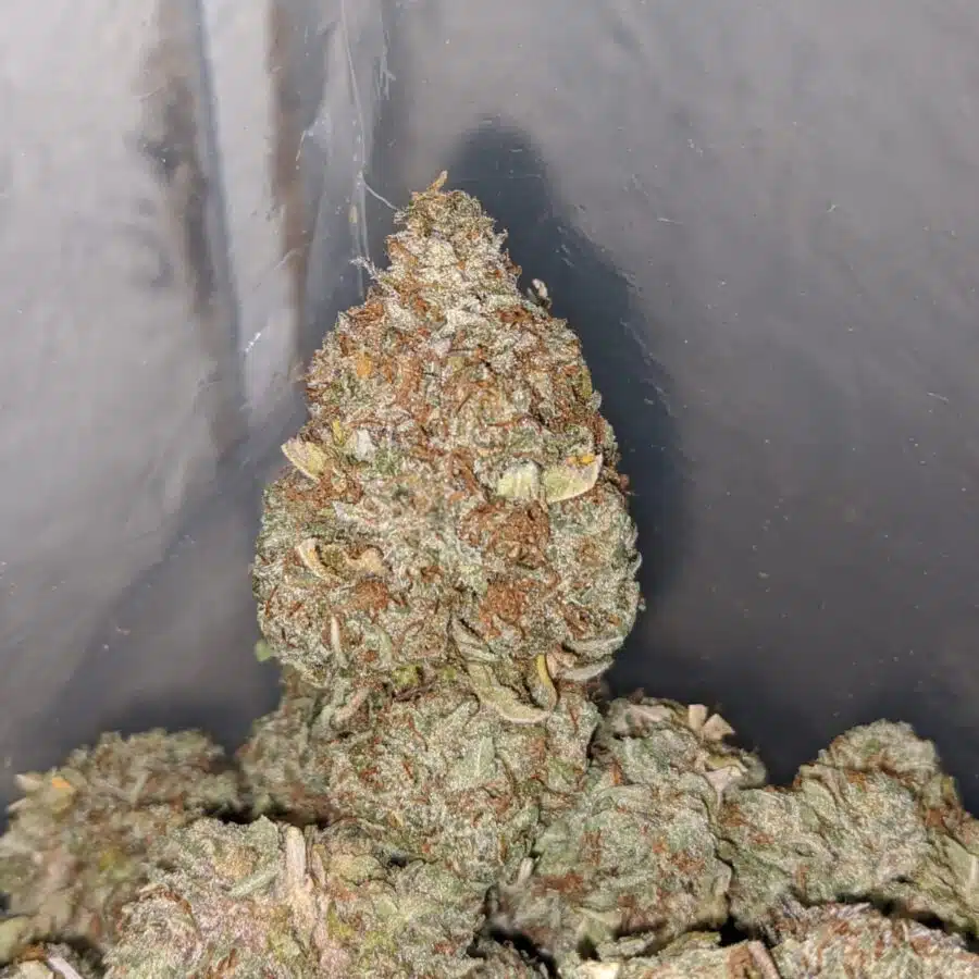 ice kush 3 I Ice Kush