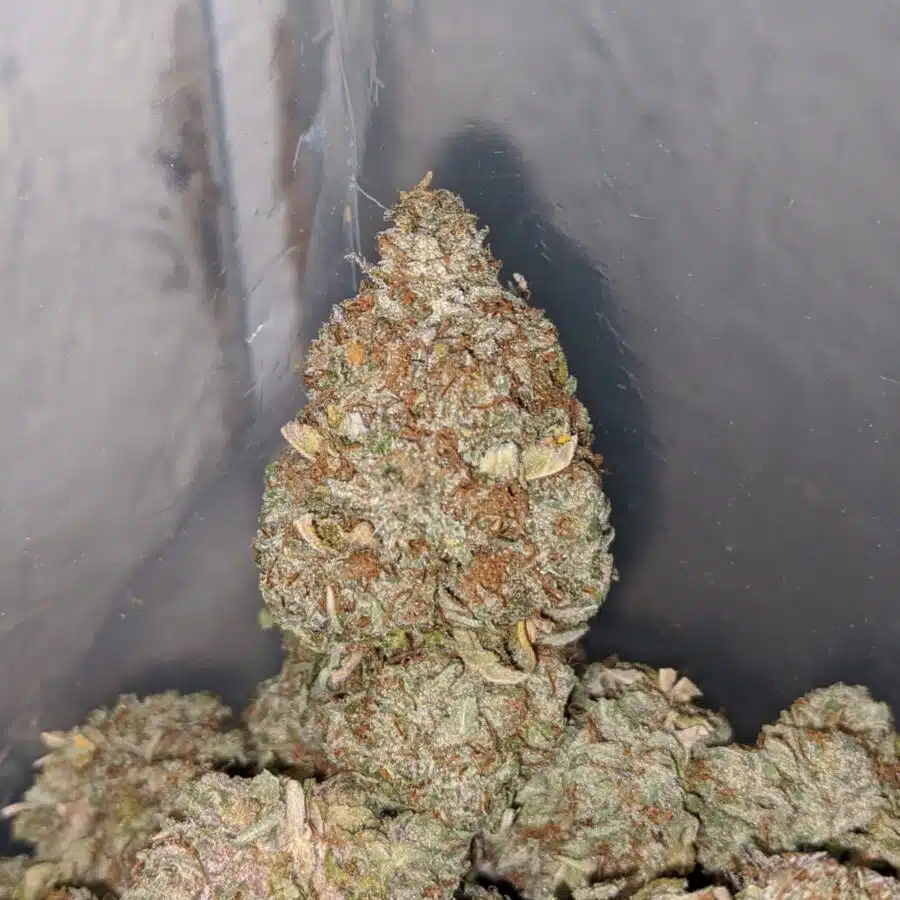 ice kush 4 I Ice Kush