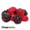 Juice Berries (50pc x 30mg)