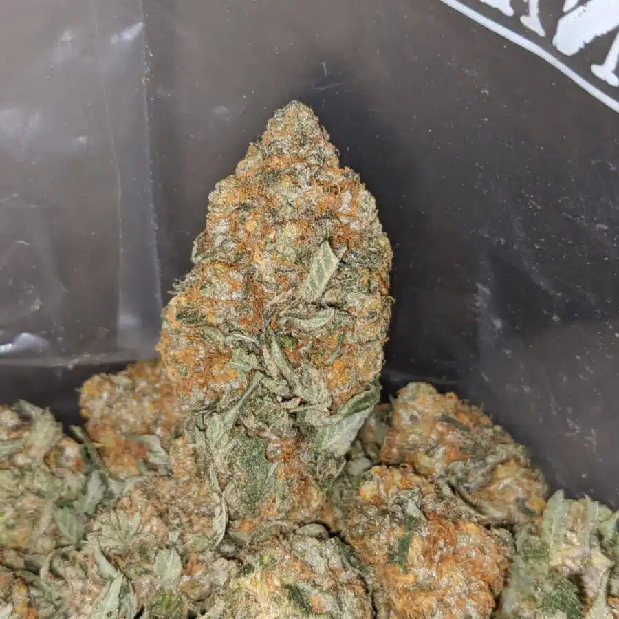king kush 3 I $72 Oz - Kings Kush