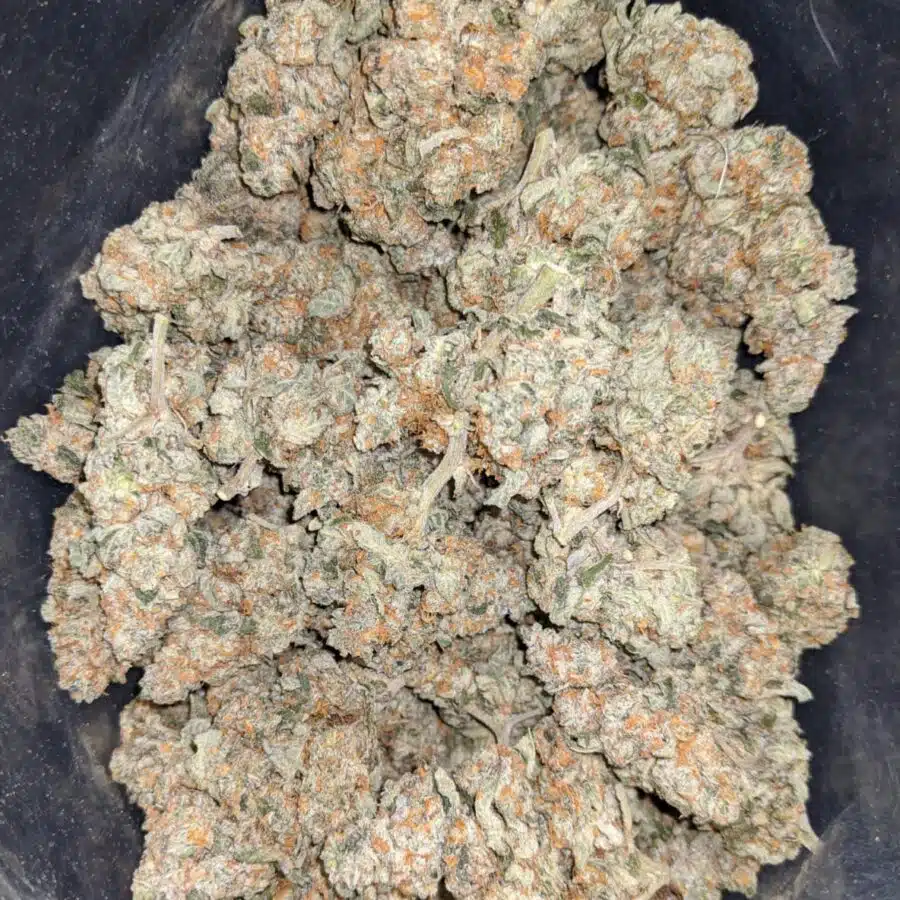 larry og deal of the day 1 I Larry OG - *Deal Of The Day*