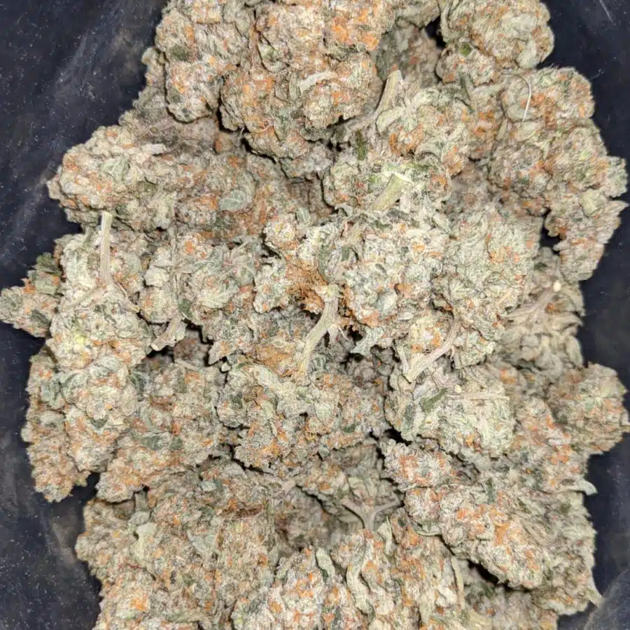 larry og deal of the day 2 I Larry OG - *Deal Of The Day*