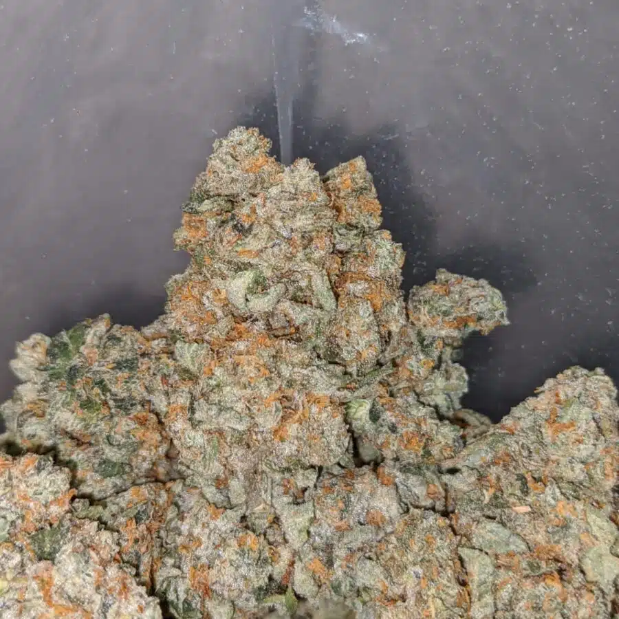 larry og deal of the day 3 I Larry OG - *Deal Of The Day*
