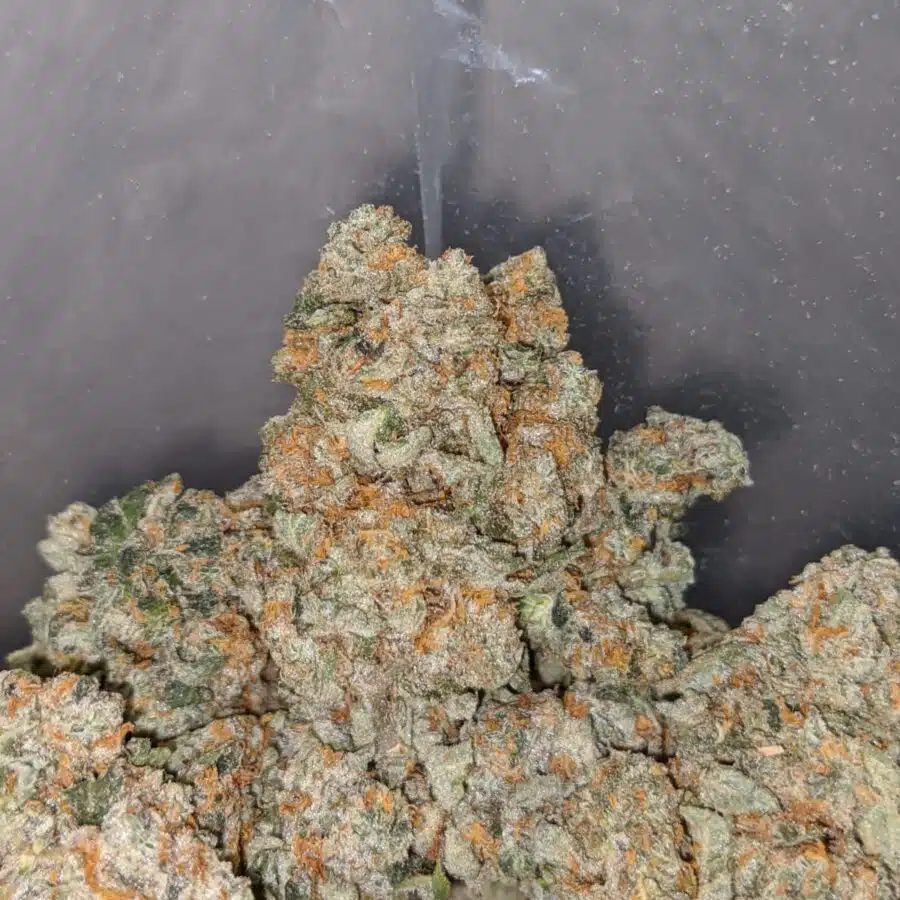 larry og deal of the day 4 I Larry OG - *Deal Of The Day*