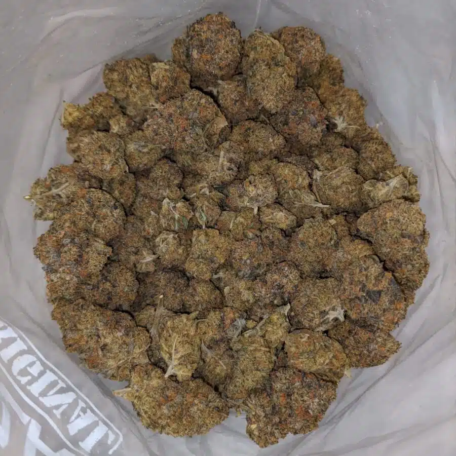 $109 Oz - Agent Orange
