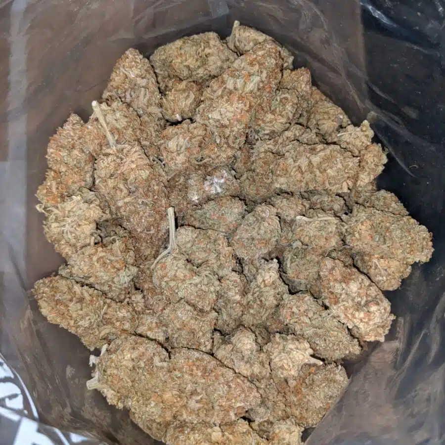$ 52 Oz - Orange Crack