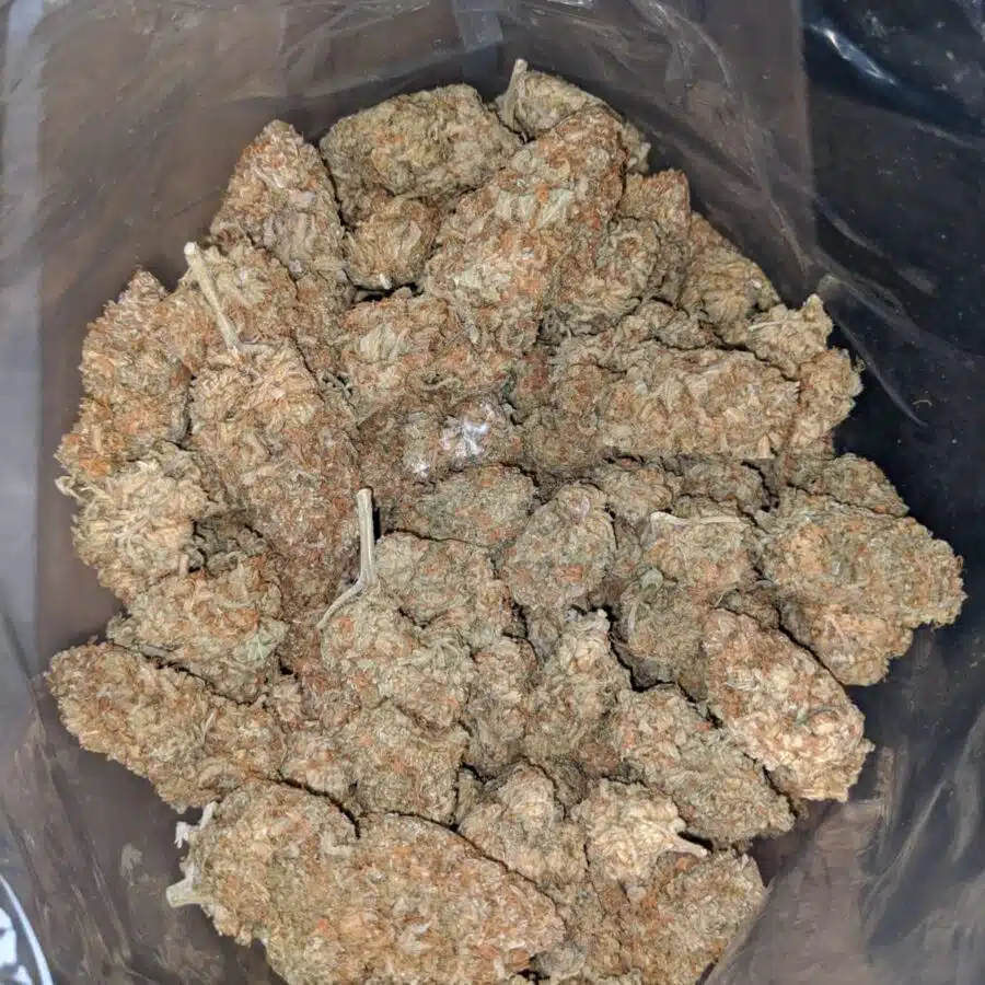 Alternative view of $ 52 Oz - Orange Crack