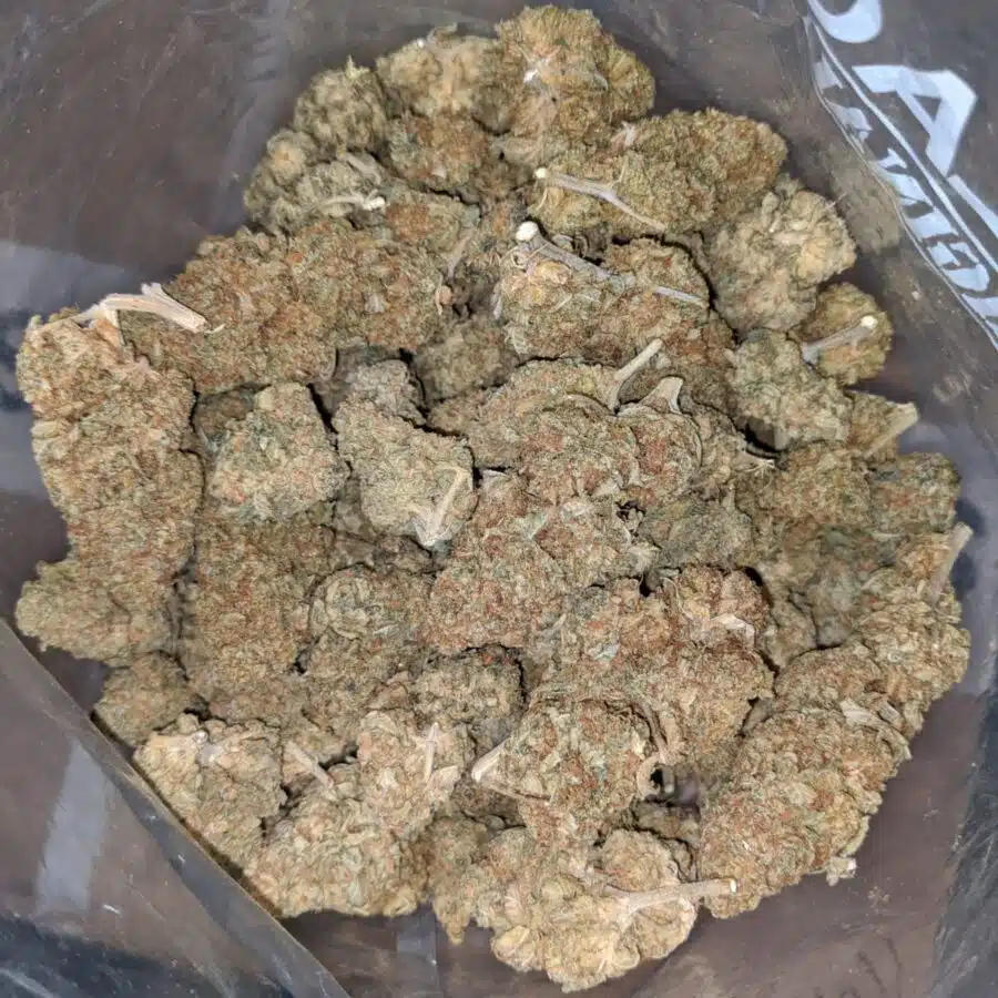 $59 Oz - Papaya Kush
