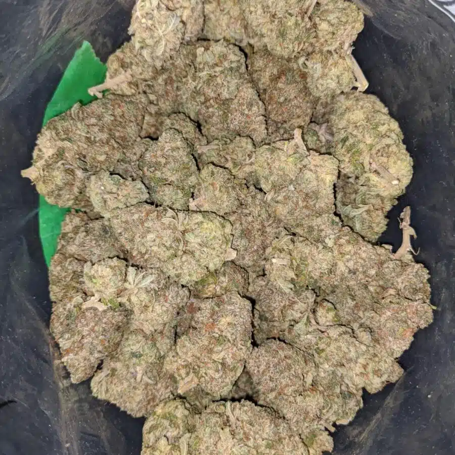 pink bubba 1 I $77 Oz - Pink Bubba