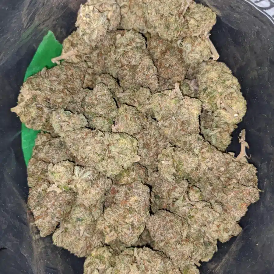 pink bubba 2 I $77 Oz - Pink Bubba