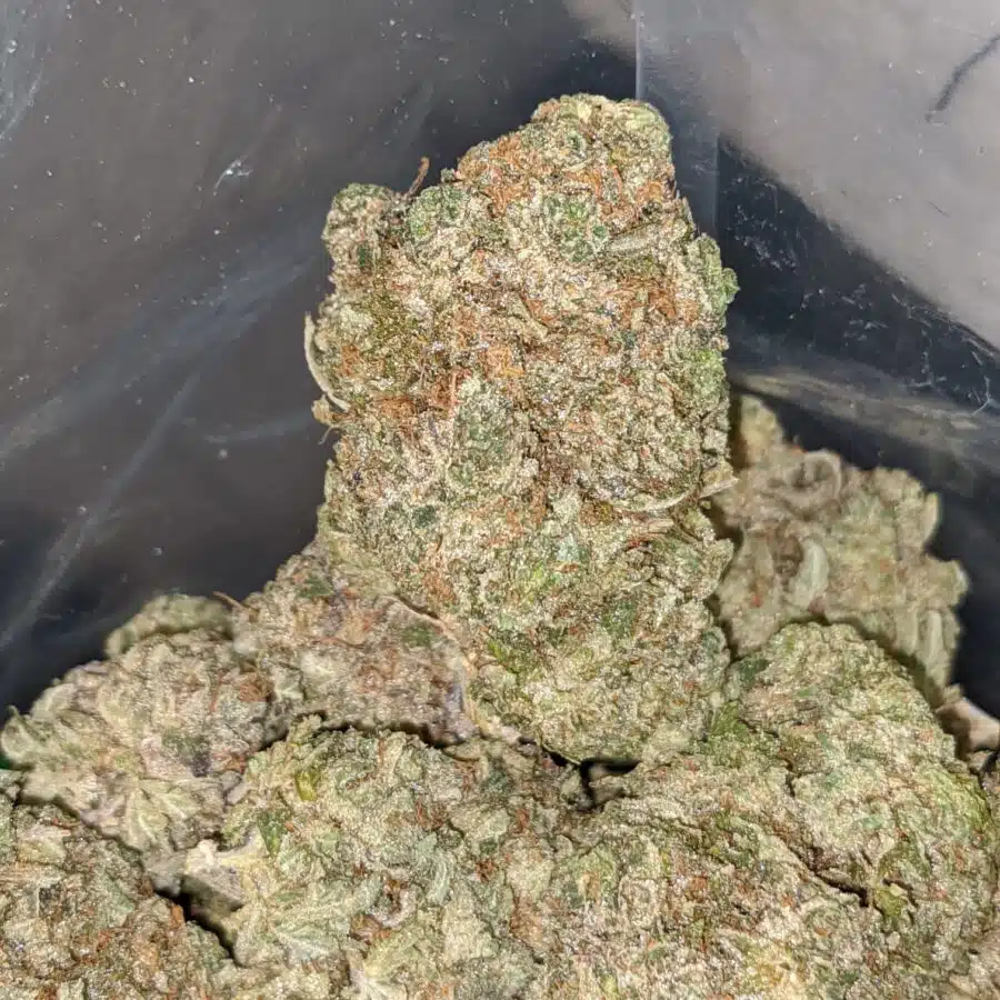 pink bubba 3 I $77 Oz - Pink Bubba