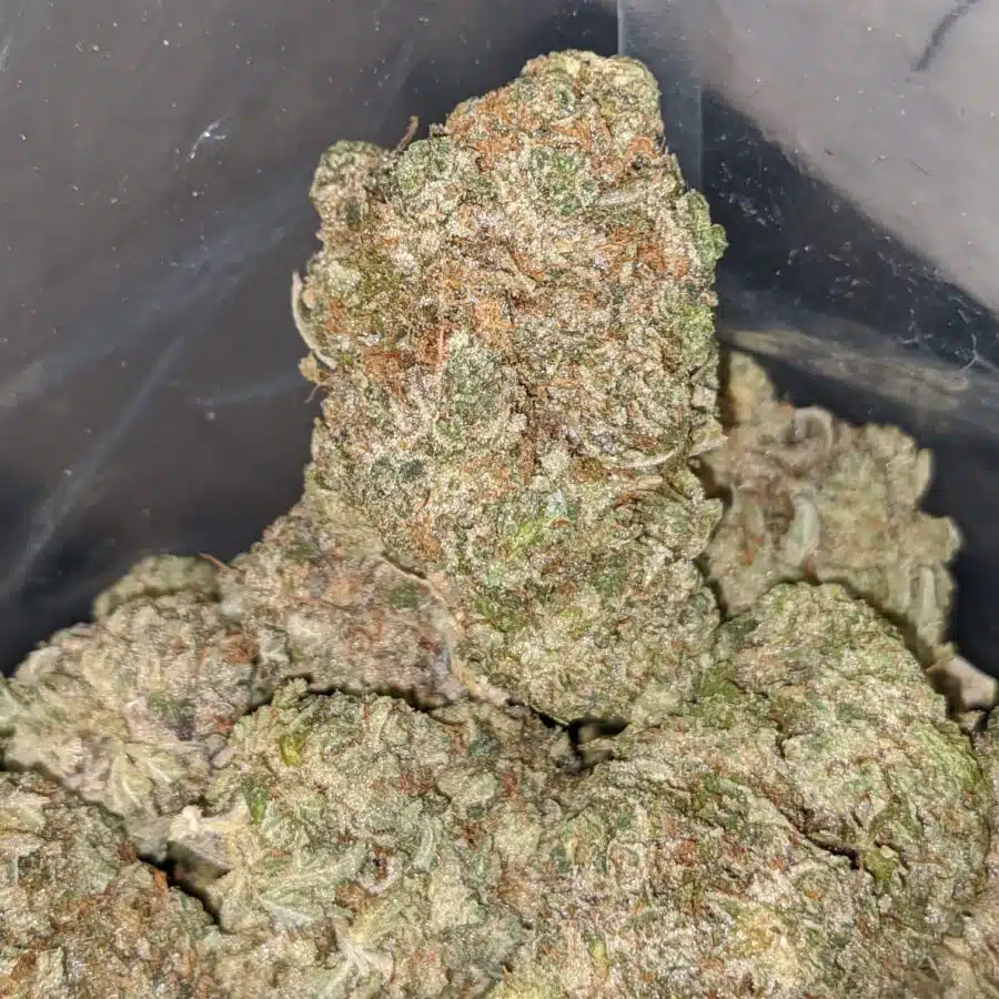 pink bubba 4 I $77 Oz - Pink Bubba