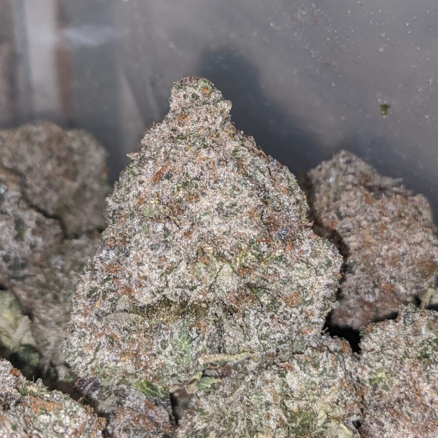 pink kush aaaa 1 I Pink Kush AAAA