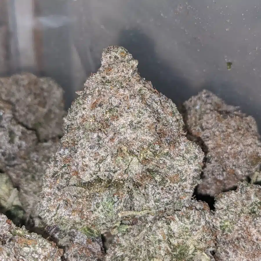 pink kush aaaa 1 I Pink Kush AAAA