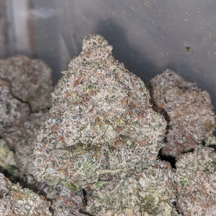 pink kush aaaa 2 I Pink Kush AAAA